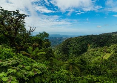 blue cloud tree mountain