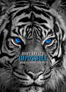white tiger quotes