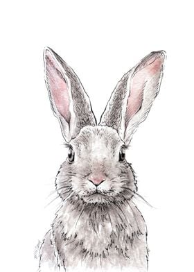 Rabbit Bunny Cute portrait