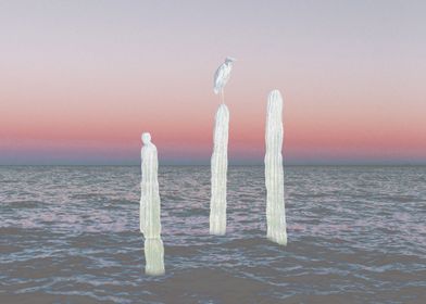 Cactus Bird in Ocean