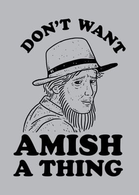 Dont Want Amish A Thing