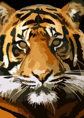 Tiger vector art