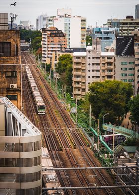 Shibuya Train Line