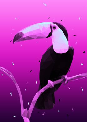 bird toucan low poly