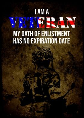 Veteran Soldier Wall Art