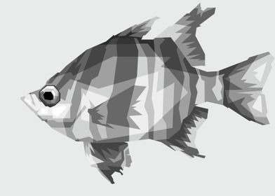 decorative fish grayscale