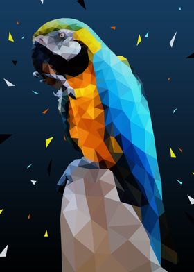 bird macaw low poly