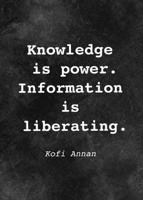 Kofi Annan Quote D028