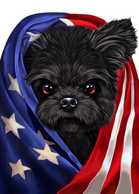 Black Maltese USA Patriot