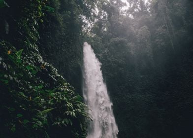 bright waterfall tree