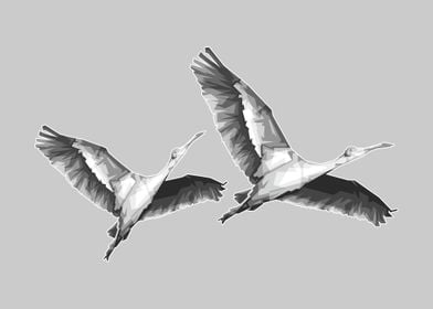 flying bird Grayscale