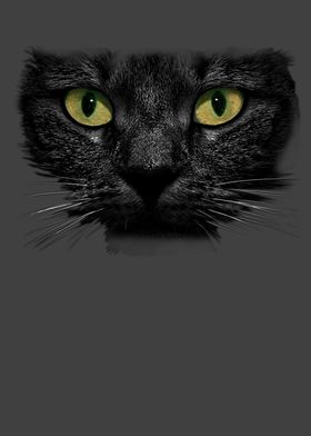 Black Cat Face Cat Lover