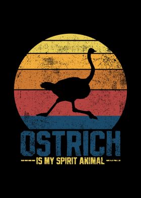 Ostrich Flightless Bird