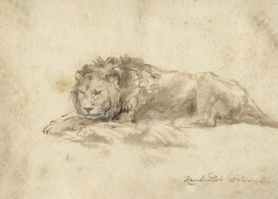 Reclining Lion