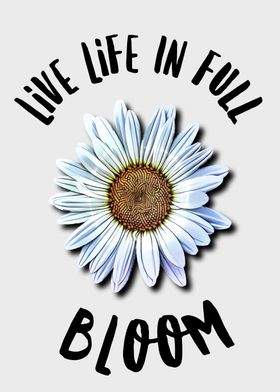 Daisy Flower Garden Quote