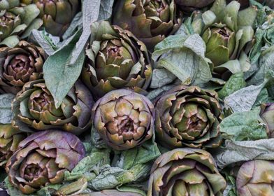 artichokes at market