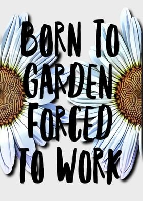 Born to Garden Quote Daisy