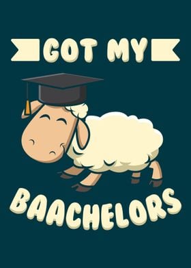 Baachelors Sheep Lover