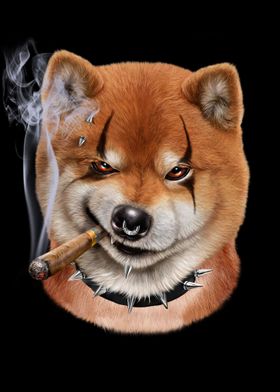 Punk Rock Shiba Dog