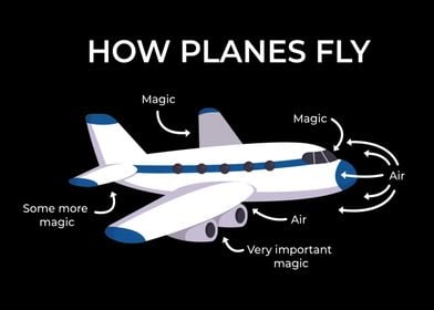 How planes fly aviation