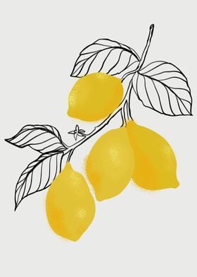 Lamya lemons