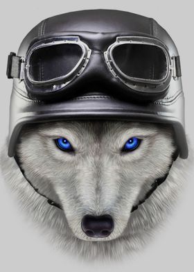 Biker Polar Wolf