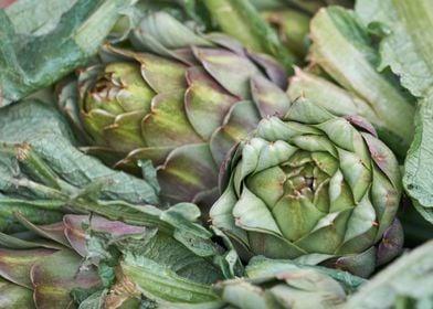 artichokes for healthy 