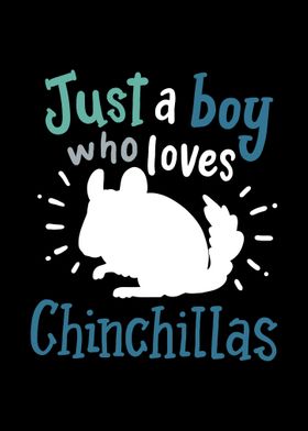 Chinchillas Chinchilla