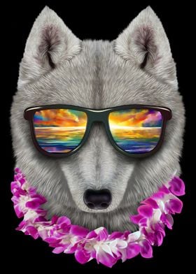 Wolf on Holiday in Hawaii