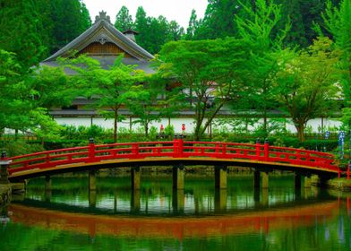 red bridge water green