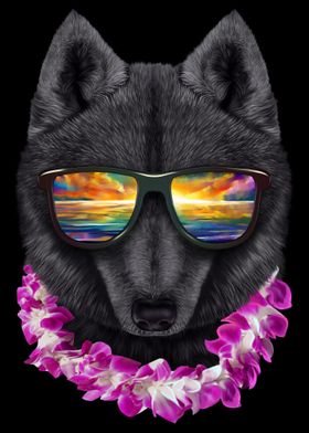 Wolf on Holiday in Hawaii