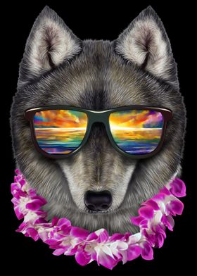 Wolf on Holiday in Hawaii