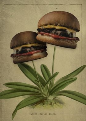 Burger plant