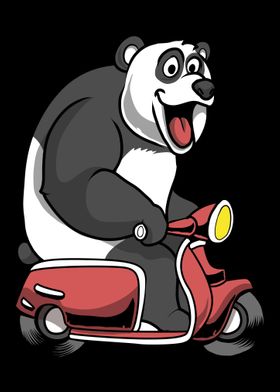 Scooter Bike Scoot Moped