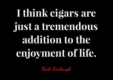 Rush Limbaugh Quote 