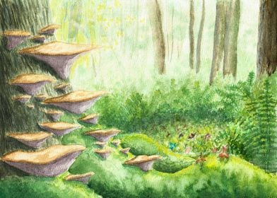 Mushroom Forest