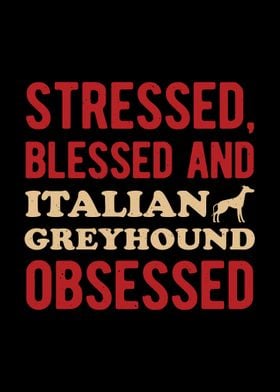 Funny Italian Greyhound