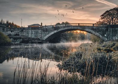 The Calmness of Ireland