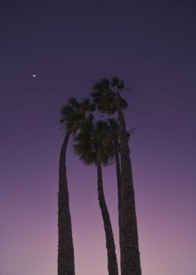 purple night cloud lamp