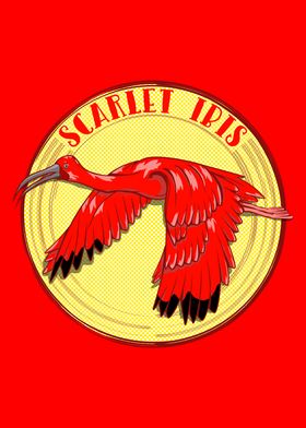 Scarlet ibis