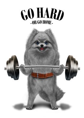 Pomeranian Weightlifting