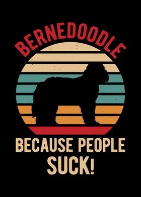 Funny Bernedoodle