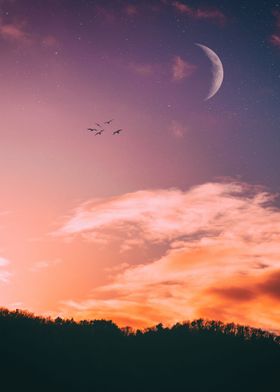 cloud moon sunset bird