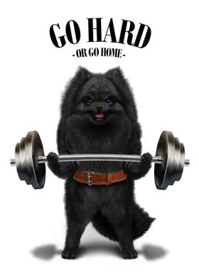 Pomeranian Weightlifting