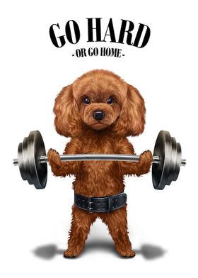 Poodle Dog Weightlifting