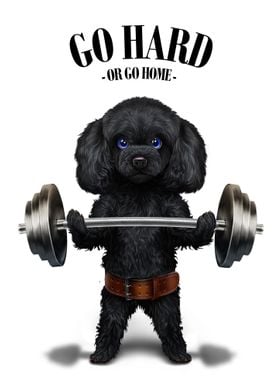 Poodle Dog Weightlifting