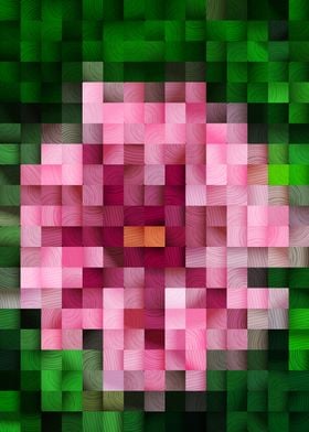 The PInk Flower