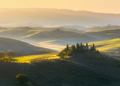 Belvedere Nature View