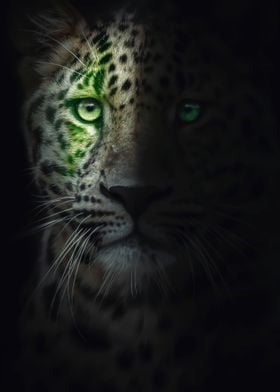  wild jaguar green eyes 