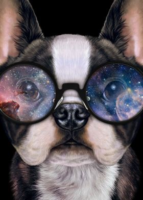 French Bulldog in Space